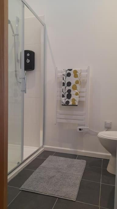 Thornmoor Barn Apartment Lifton Екстериор снимка